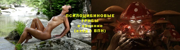 гидропоника Абдулино