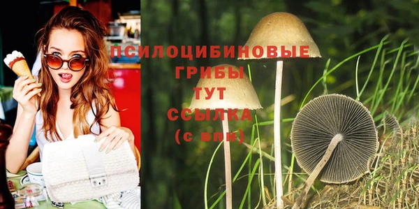 круглые Алексин